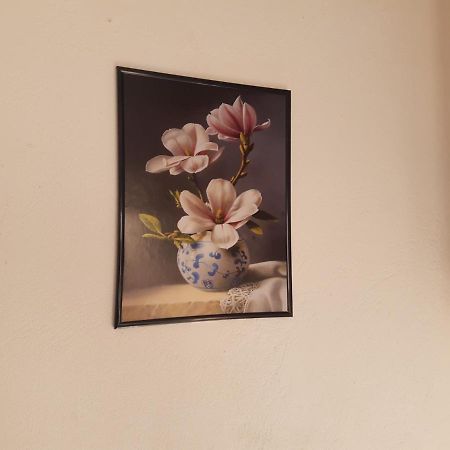 Florianópolis Townhousefloripa I Praia Do Mocambique Riovermelho מראה חיצוני תמונה