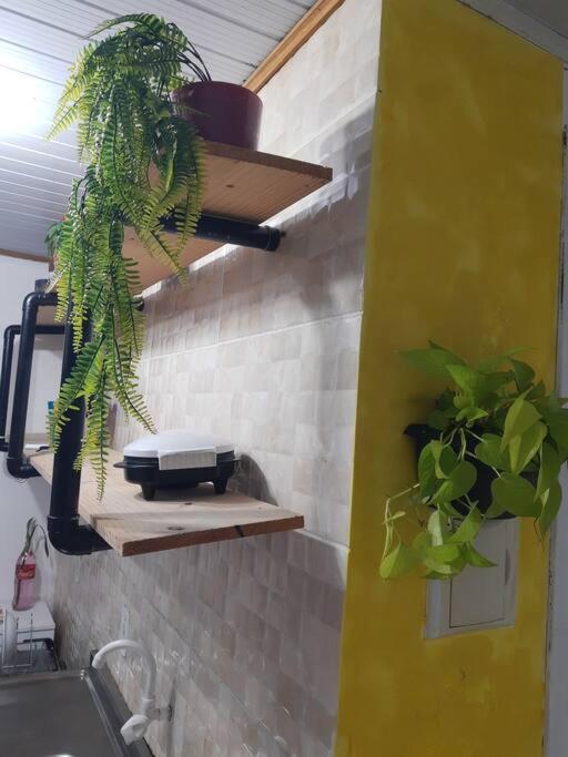 Florianópolis Townhousefloripa I Praia Do Mocambique Riovermelho מראה חיצוני תמונה