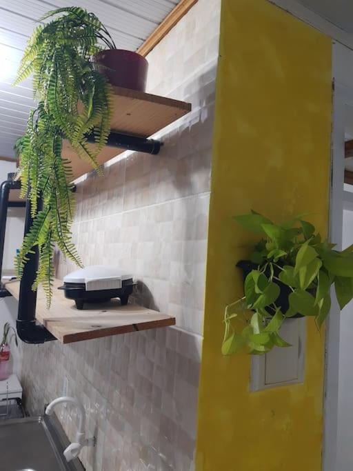 Florianópolis Townhousefloripa I Praia Do Mocambique Riovermelho מראה חיצוני תמונה