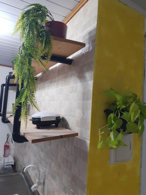 Florianópolis Townhousefloripa I Praia Do Mocambique Riovermelho מראה חיצוני תמונה