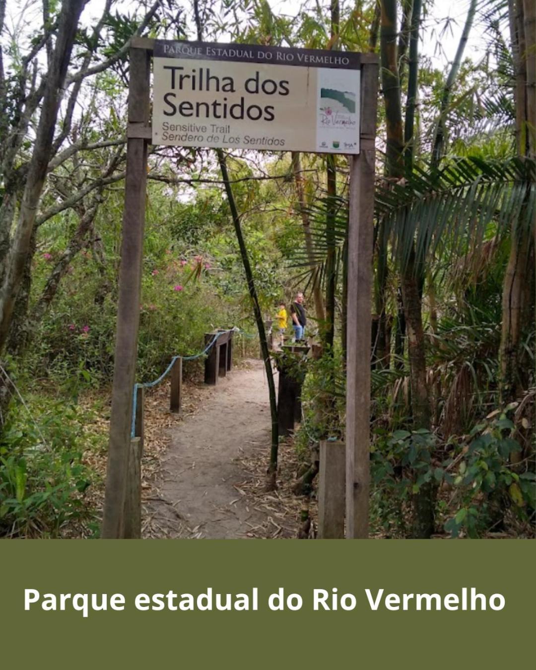 Florianópolis Townhousefloripa I Praia Do Mocambique Riovermelho מראה חיצוני תמונה