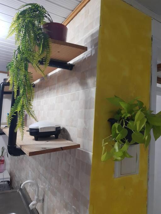 Florianópolis Townhousefloripa I Praia Do Mocambique Riovermelho מראה חיצוני תמונה